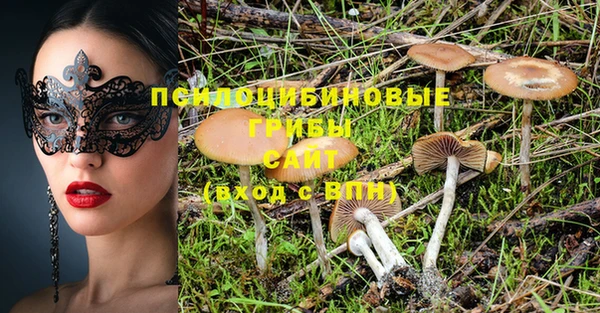 альфа пвп Каменногорск
